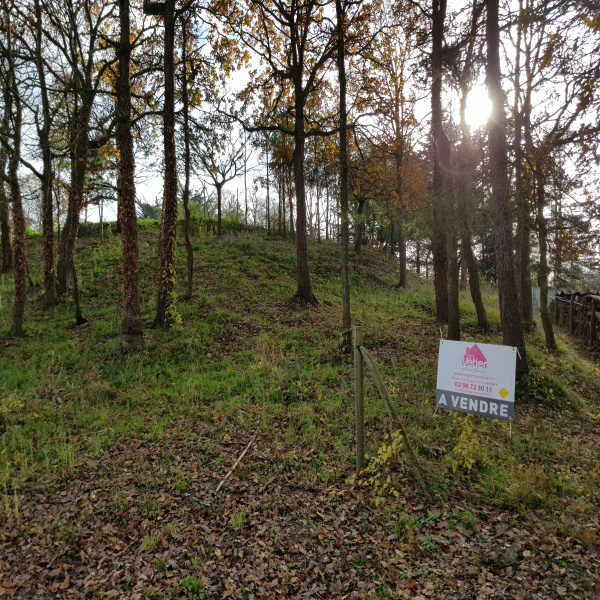 Offres de vente Terrain Sables d or les pins 22240